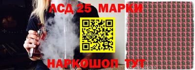 герыч Кингисепп